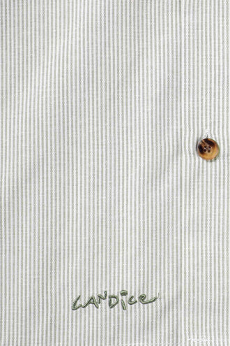 Candice Entree SS Shirt - Green