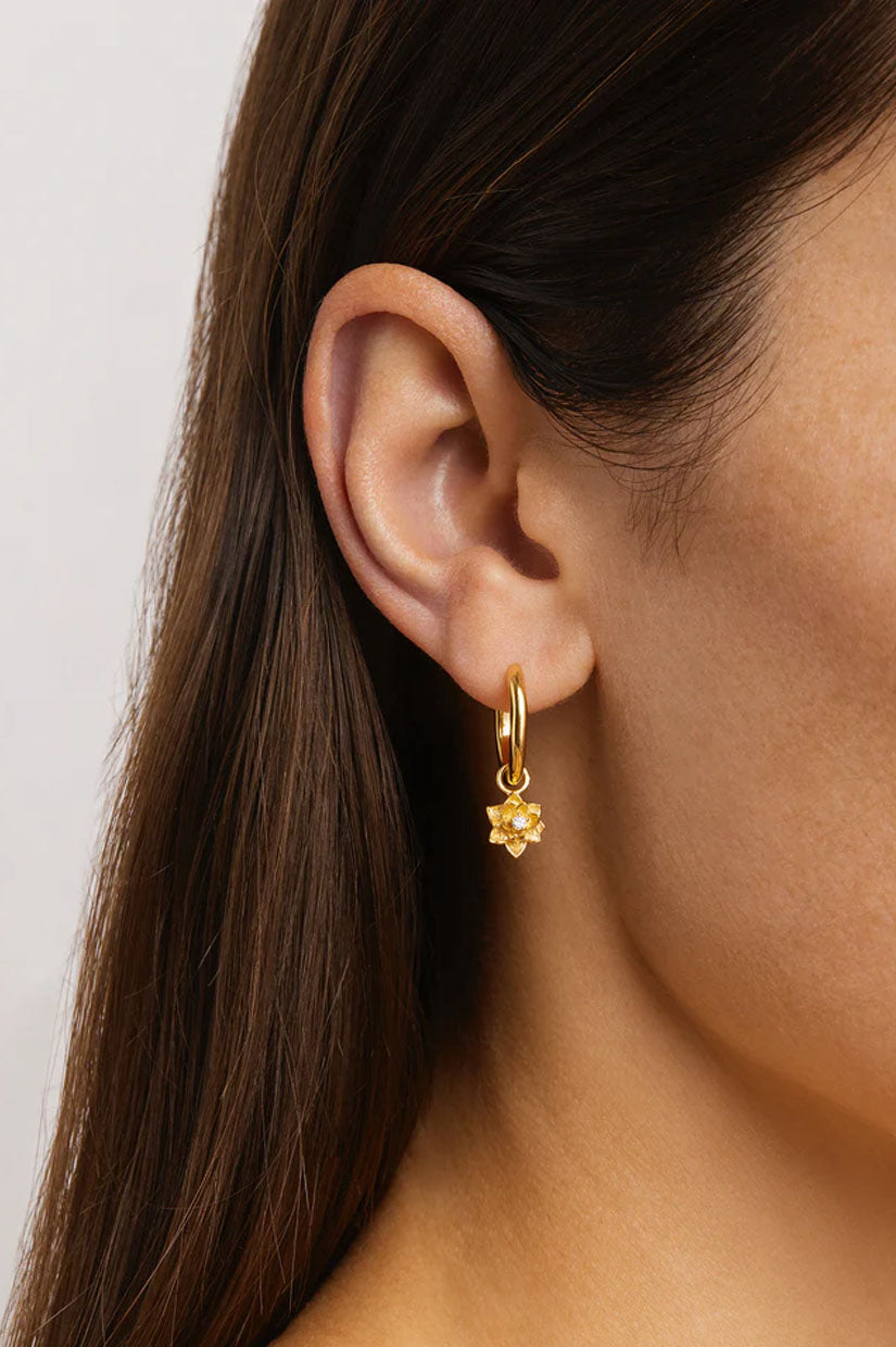 By Charlotte Bloom Within Lotus Hoops - Gold