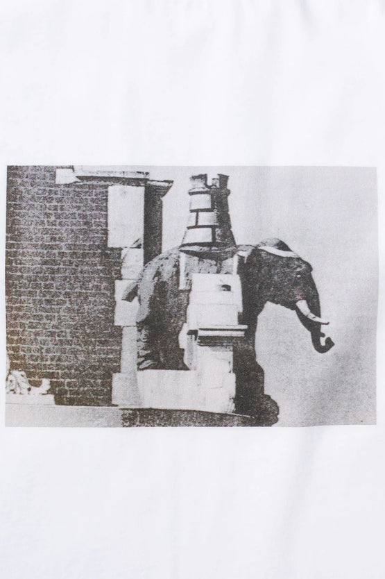 Candice Winchester Tee - White